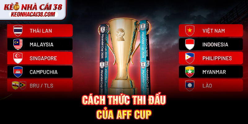 Cách thức thi đấu của AFF Cup